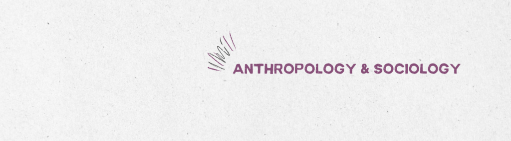 Website Banner ANSO
