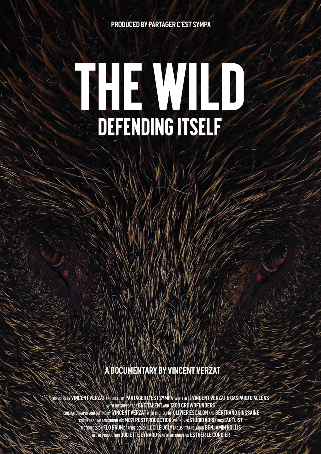 the wild 1