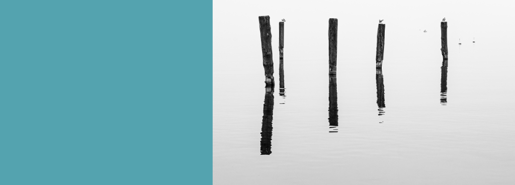 posts in sea, black and white