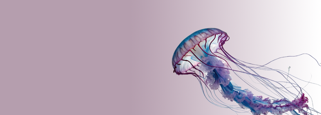 Forum Banner Medusa
