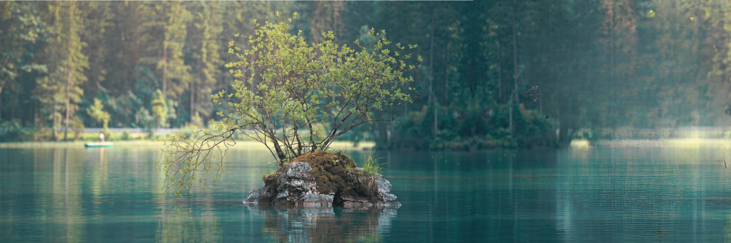  Tree Banner with Tint