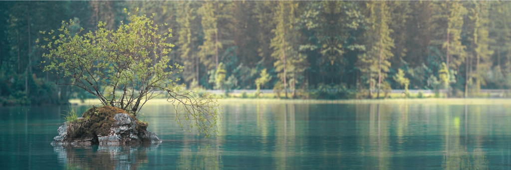 HCGS | Tree Banner with Tint Left