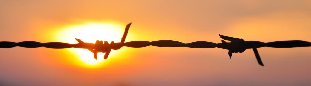 Barbed wire in sunset