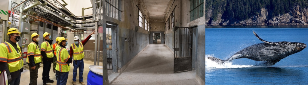 Montage showing 1) inspection team visiting chemical agent-destruction pilot plant; 2) the interior of a prison; 3) a whale breaching