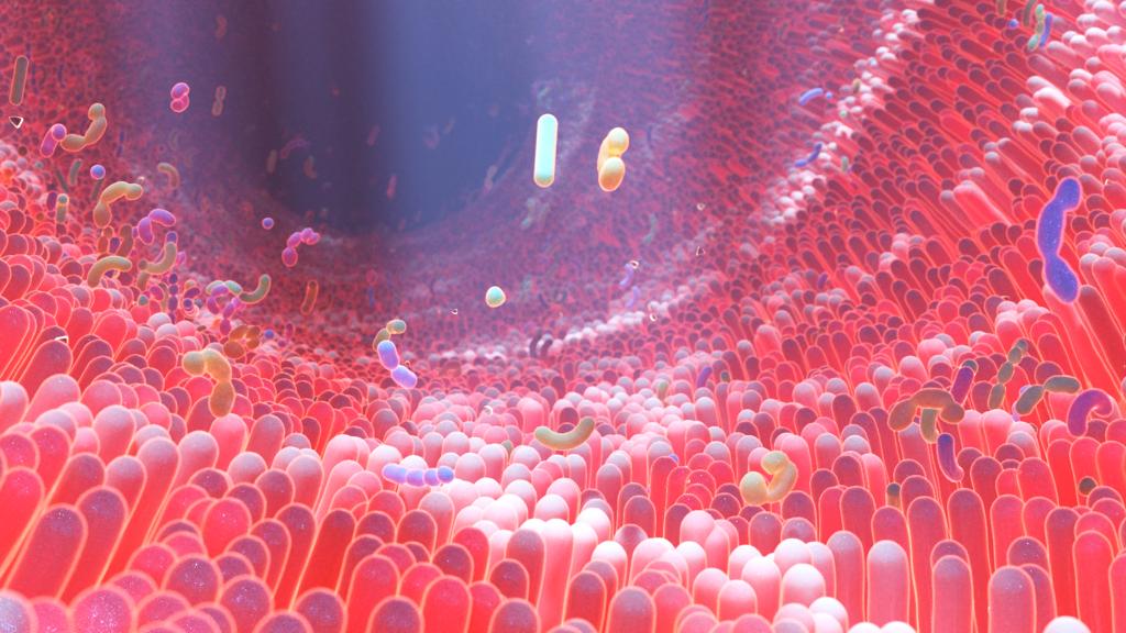 Microbes