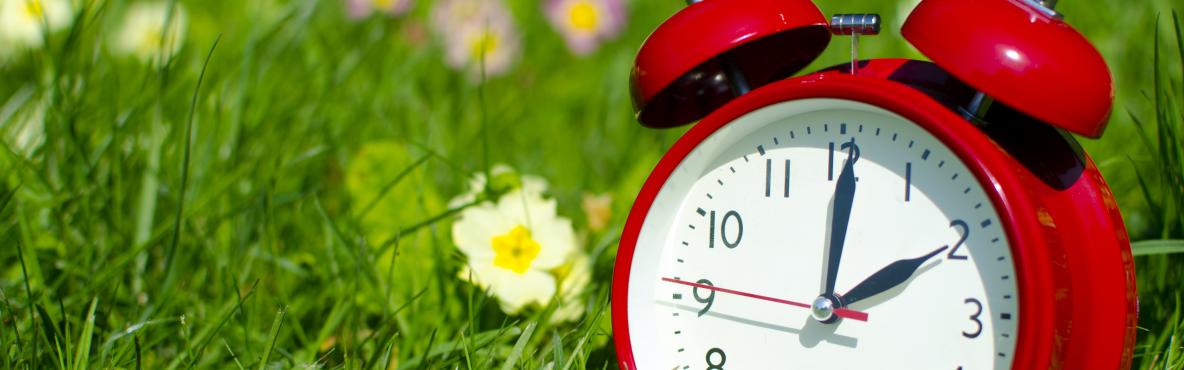 Alarm clock in the grass