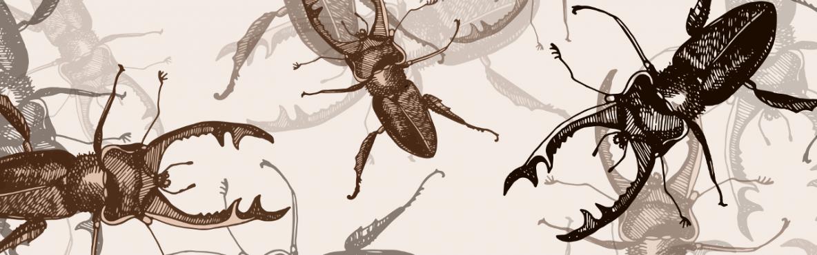 Cluster Conflict_190700_1440x400