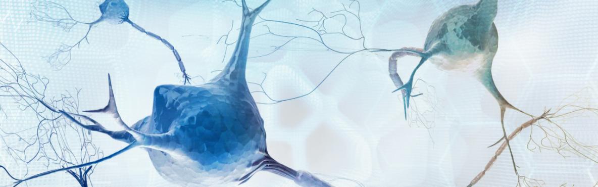 Cluster Health_1440x400
