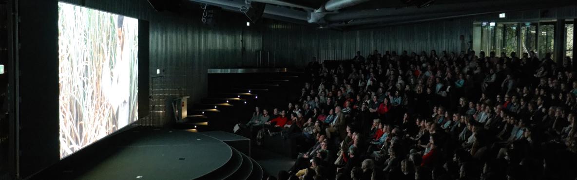 Film screening and debate presentation