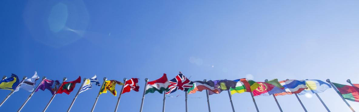 A set of world flags against a blue sky