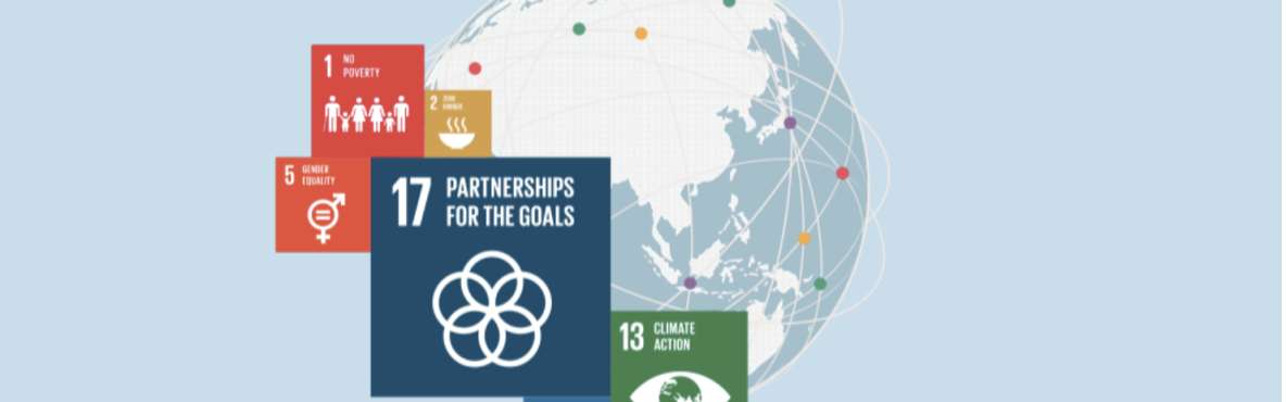 SDG 17