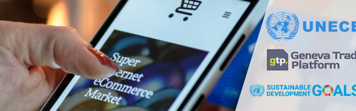 25 Feb UNECE - Website header