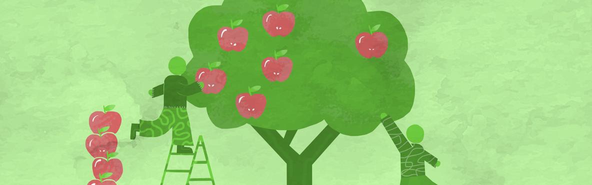 Drawing of peole picking apples from a tree