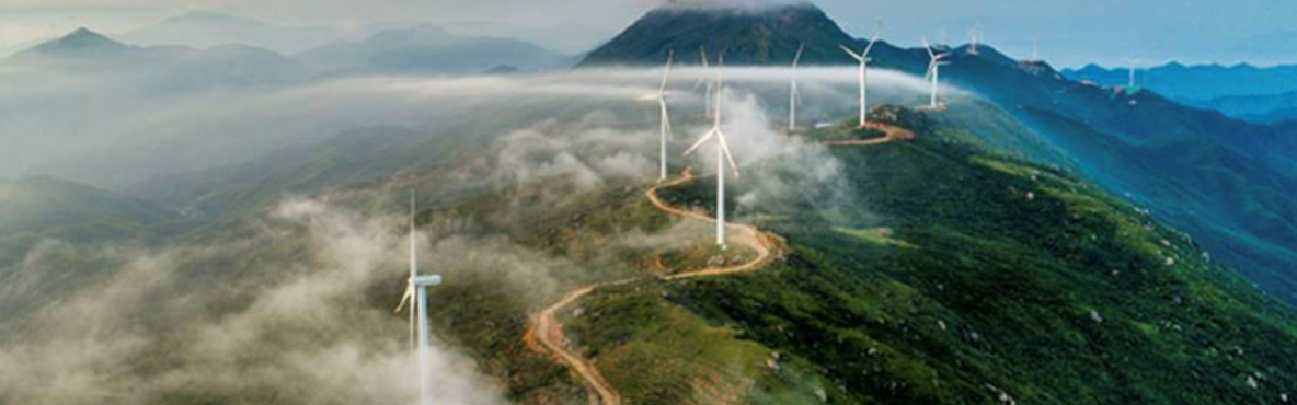 the role of international law 