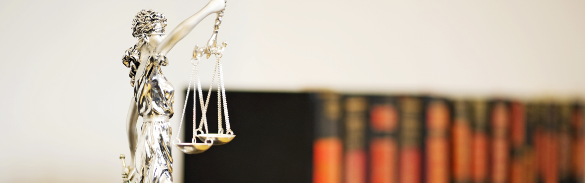 Book Launch Intl Law banner