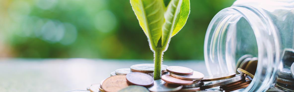 Banner MAS Sustainable Finance - 29112021