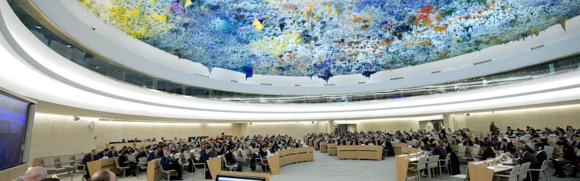 A general view of participants during election CHOI Kyong-lim, Permanent Representative of Republic of Korea to the United Nations Office at Geneva and Président elect to the Human Rights Council. 7 December 2015. UN Photo / Jean-Marc Ferré
