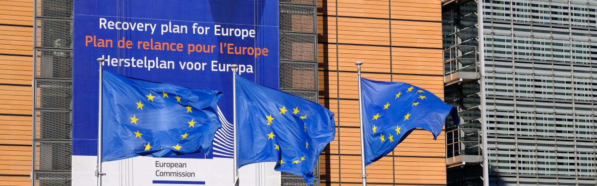 EU Plans image