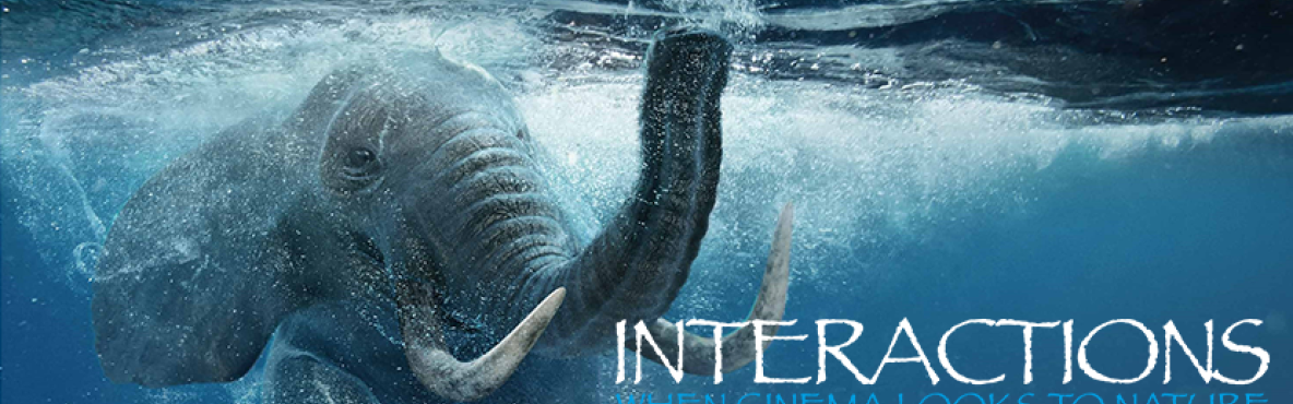 Interactions banner
