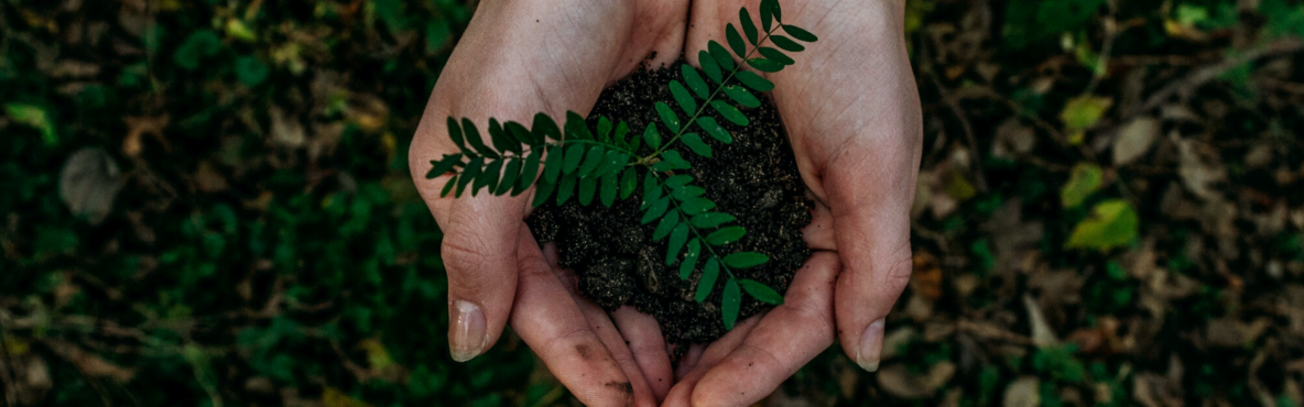 Sustainability and Impact Measurement and Reporting: Evidence from a Benchmarking Study