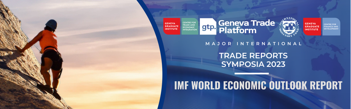 IMF report banner session 3