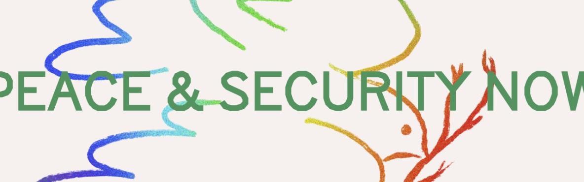Peace and Security Now
