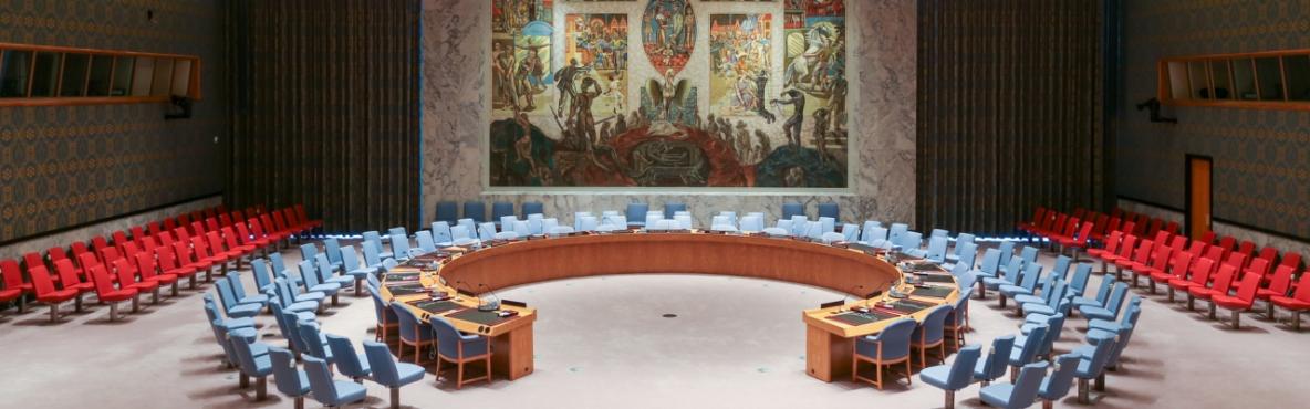 bannersecuritycouncil