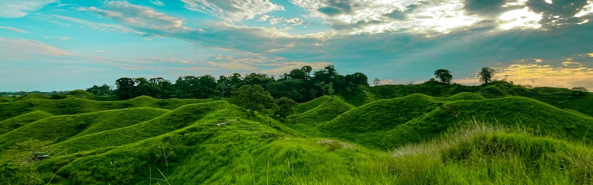 a green field with blue skies and some clouds