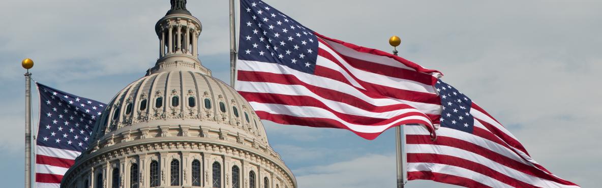 Banner DÉJA-VU ALL OVER AGAIN? THE NEW AMERICAN PRESIDENT AND THE WORLD