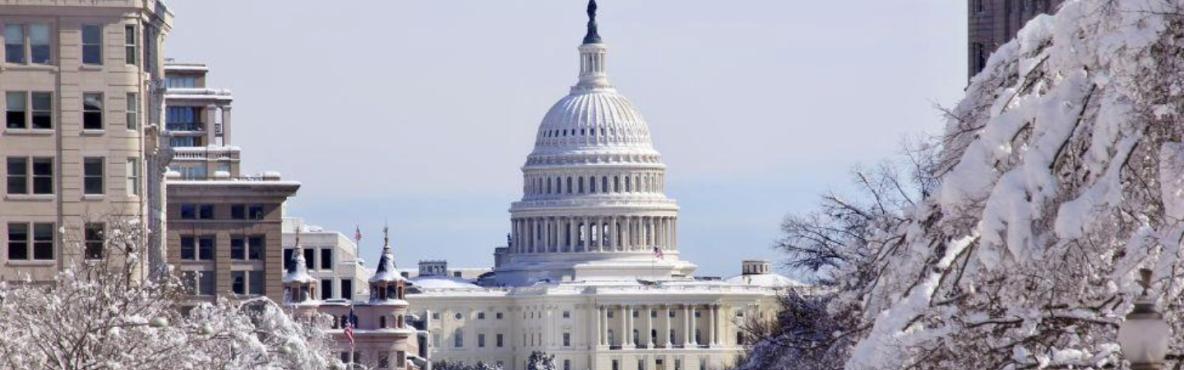 Washington Reception with the Director Marie-Laure Sallesvv
