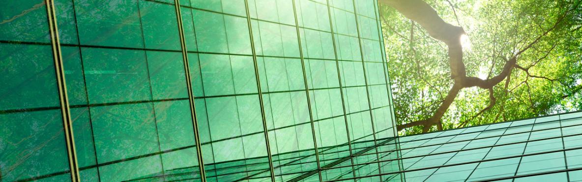 Banner Thematic Sustainability, Environment and Impact