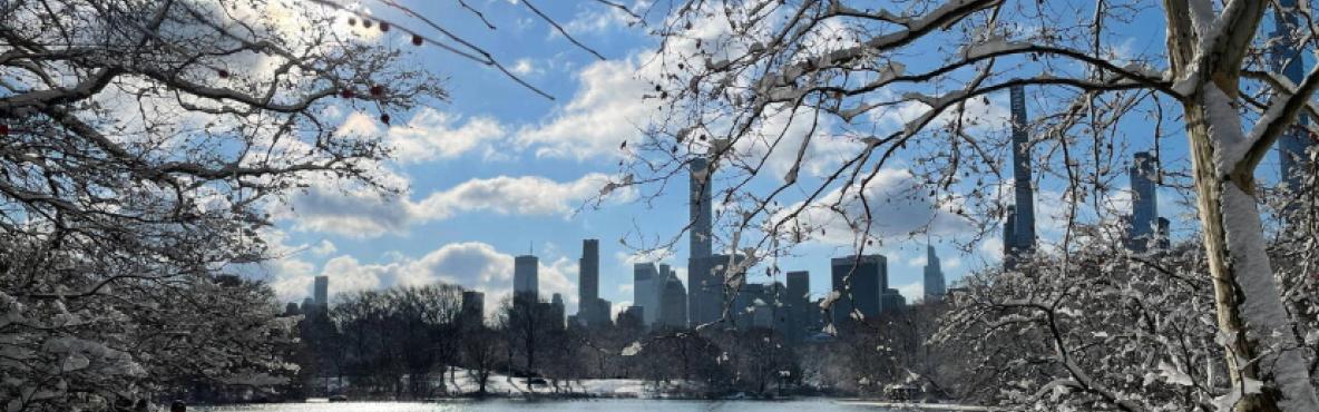 New York Reception with the Director Marie-Laure Salles