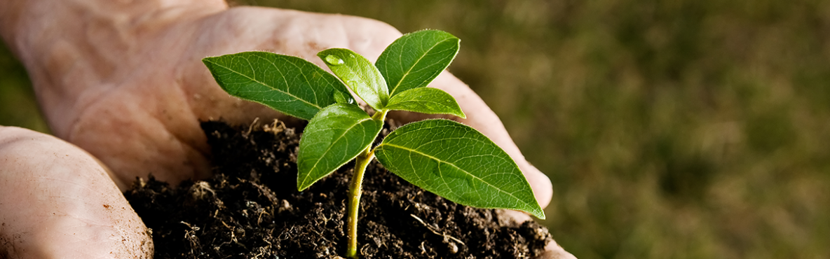Sustainable Future through Entrepreneurship