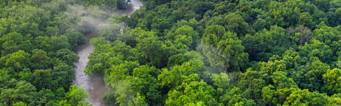 forest river