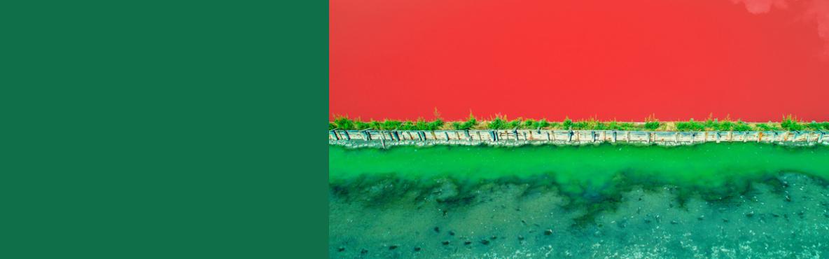 Water, red and green