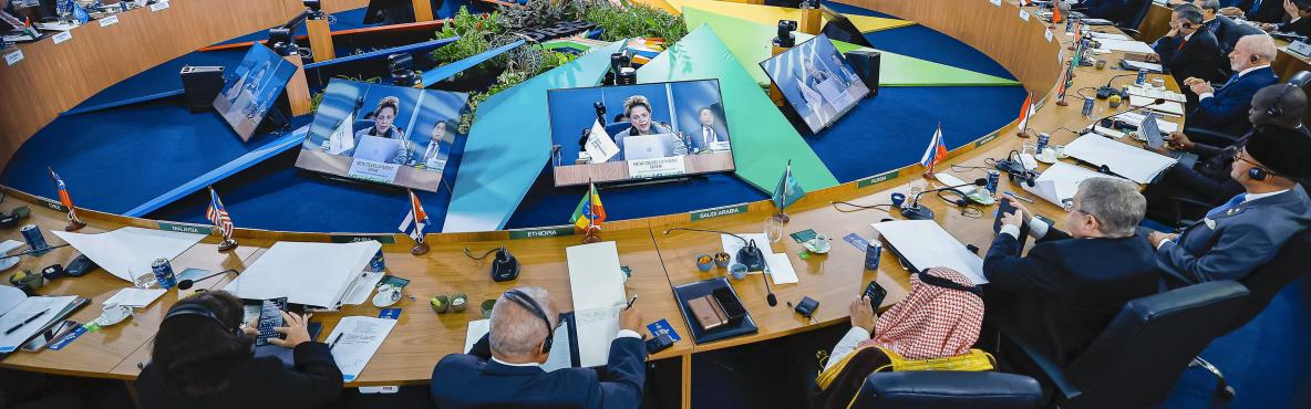 COP 30 (Brasil, November 2025)