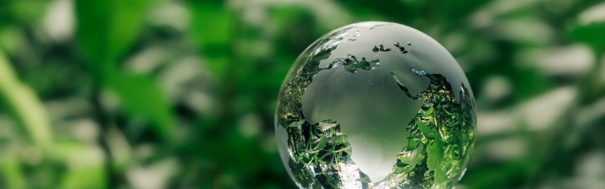 Glass earth globe among greenery