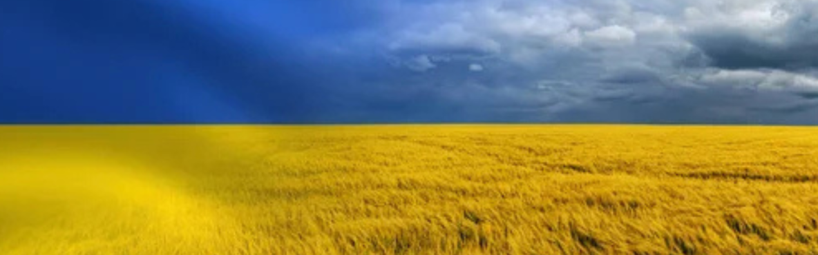 CCDP | Daryna Seminar