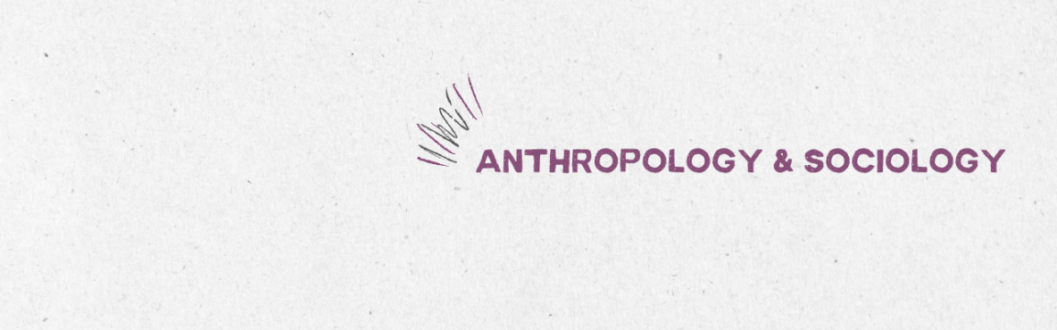 Website Banner ANSO