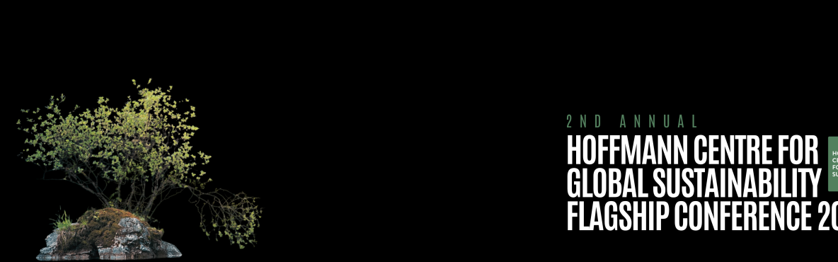 Flagship Banner