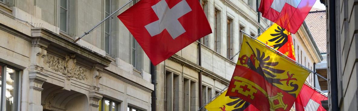 Geneva flags banner