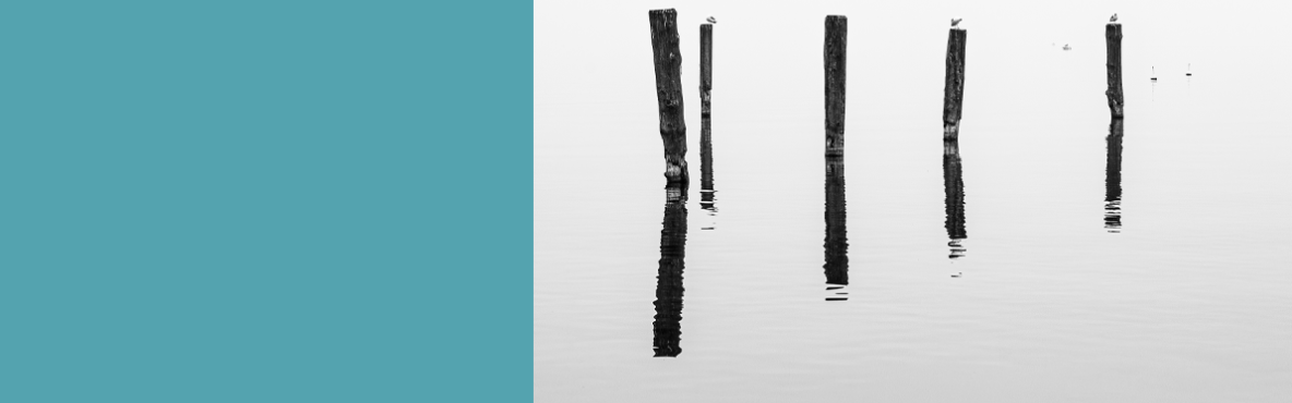 posts in sea, black and white