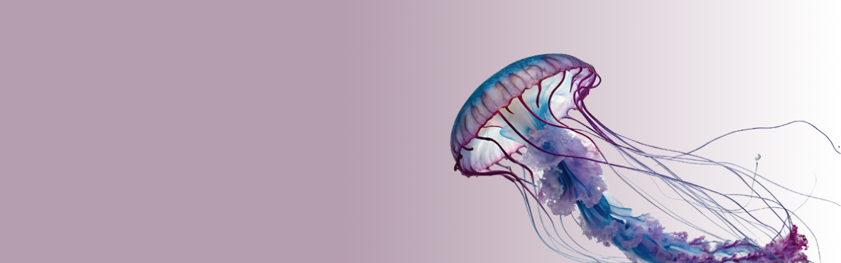 Forum Banner Medusa