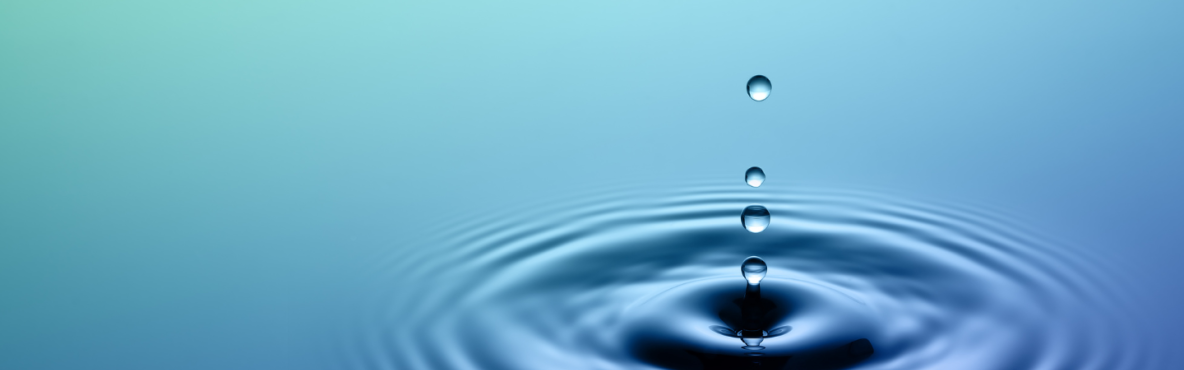 CCDP Banner 5 | Ripple