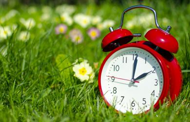 Alarm clock in the grass