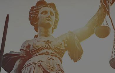 LL.M. in International Law