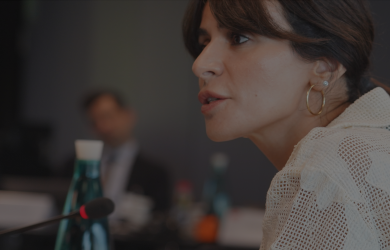 Executive Master in International Relations