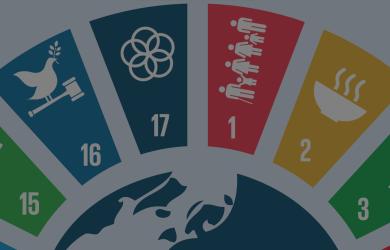 SDG Investing