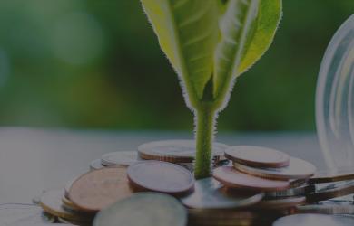 Sustainable Finance and Development