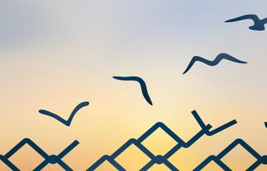 Banner Thematic Peace, Conflict and Security